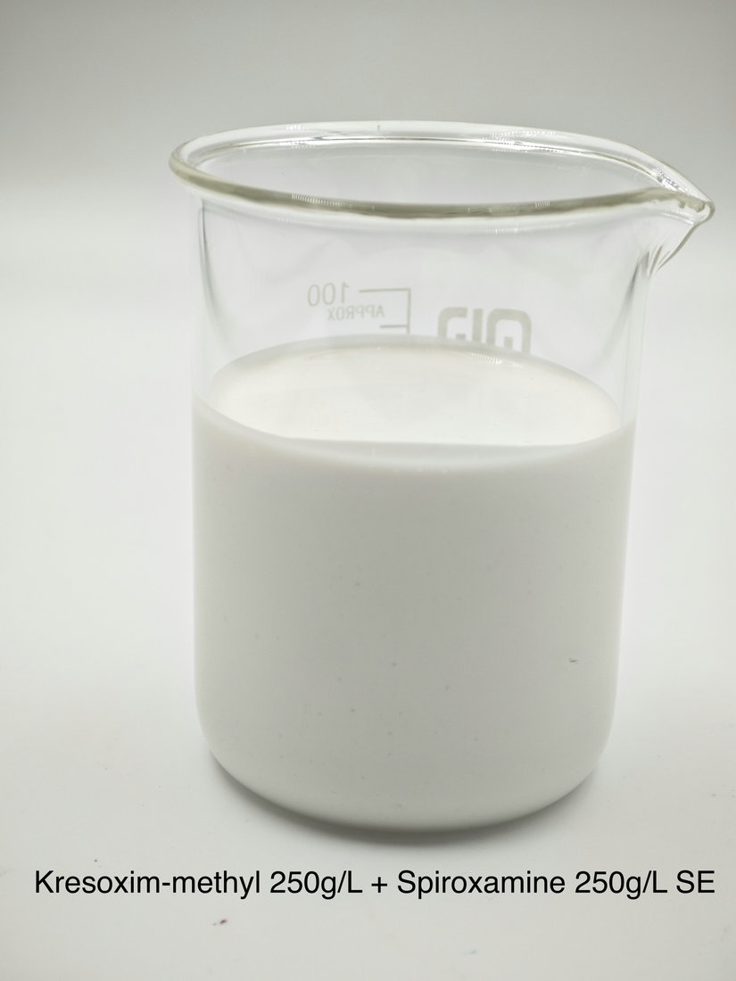 Kresoxim-methyl 250g/L + Spiroxamine 250g/L SE